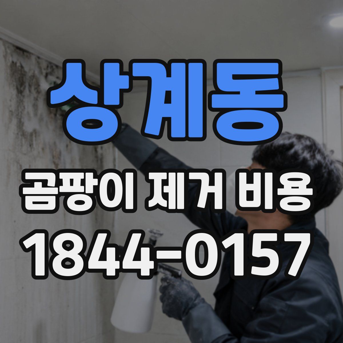 상계동 곰팡이 제거 비용