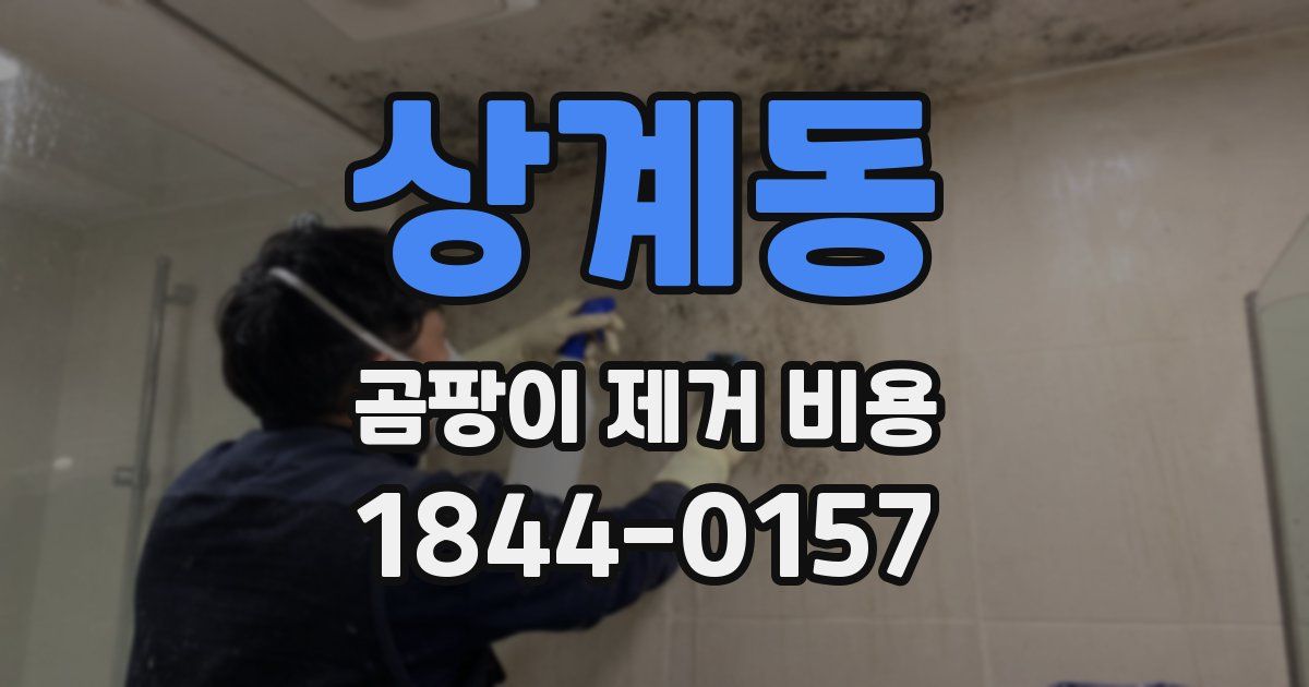 상계동 곰팡이 제거 비용
