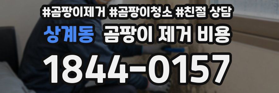 상계동 곰팡이 제거 비용