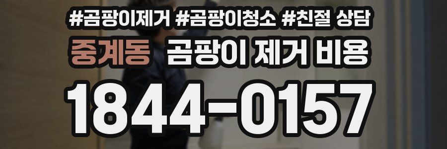 중계동 곰팡이 제거 비용