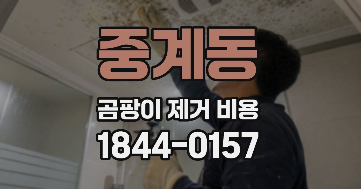 중계동 곰팡이 제거 비용