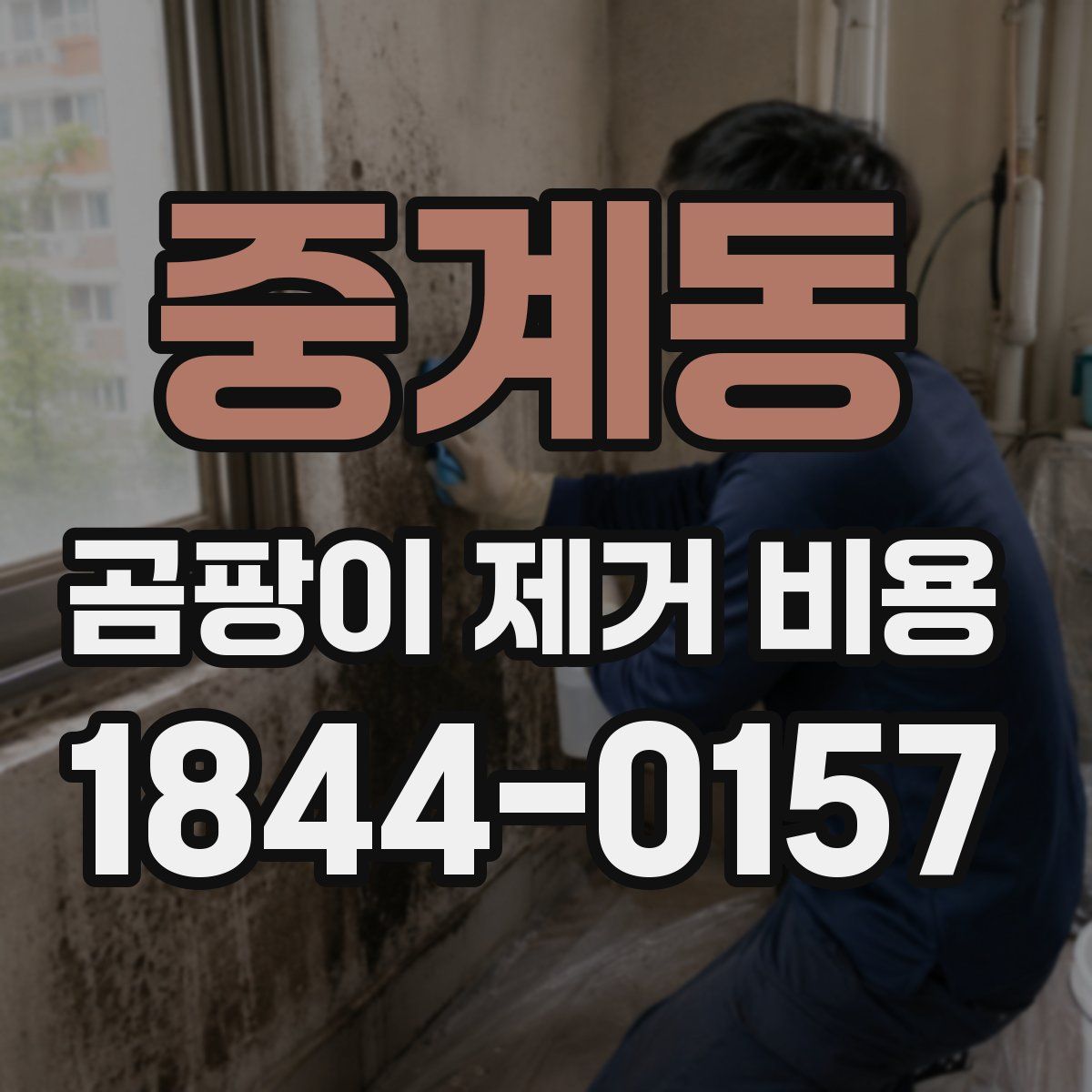 중계동 곰팡이 제거 비용