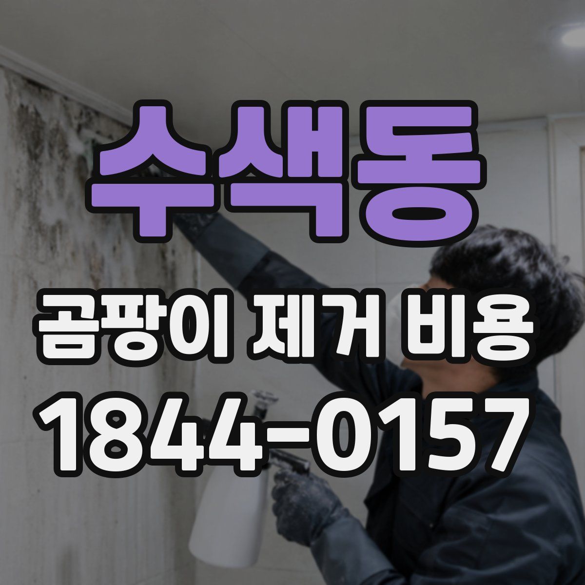 수색동 곰팡이 제거 비용
