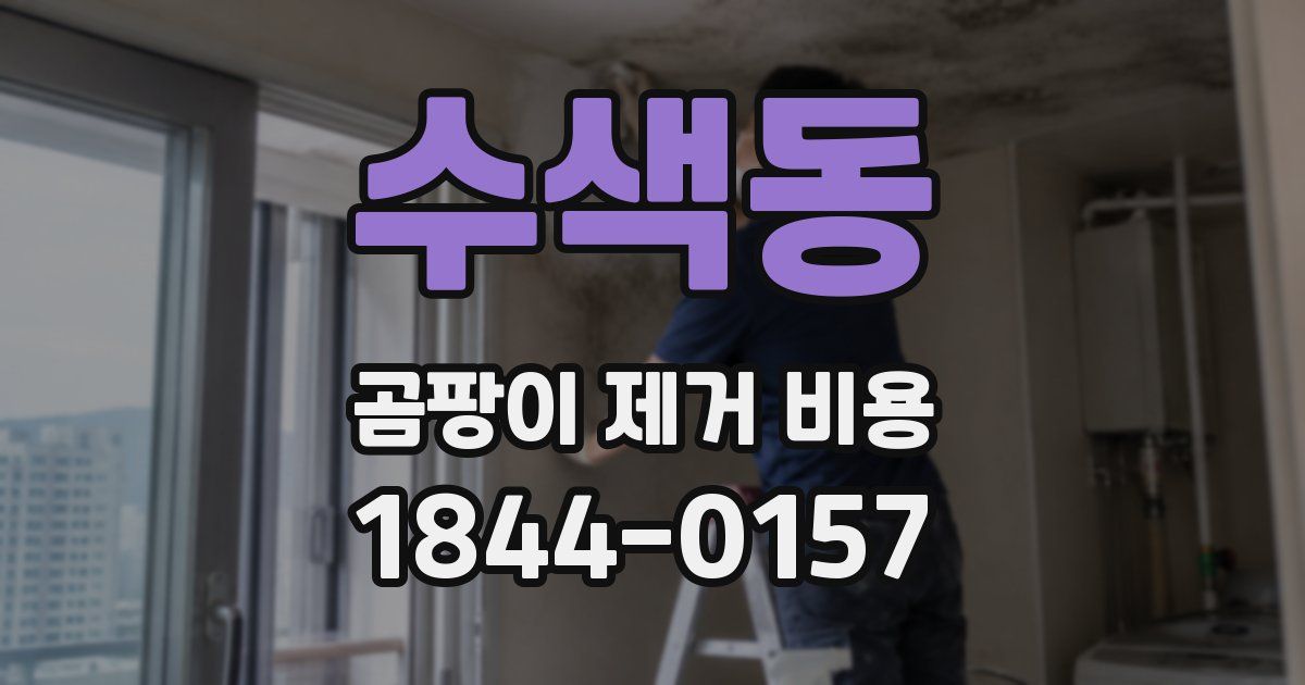 수색동 곰팡이 제거 비용