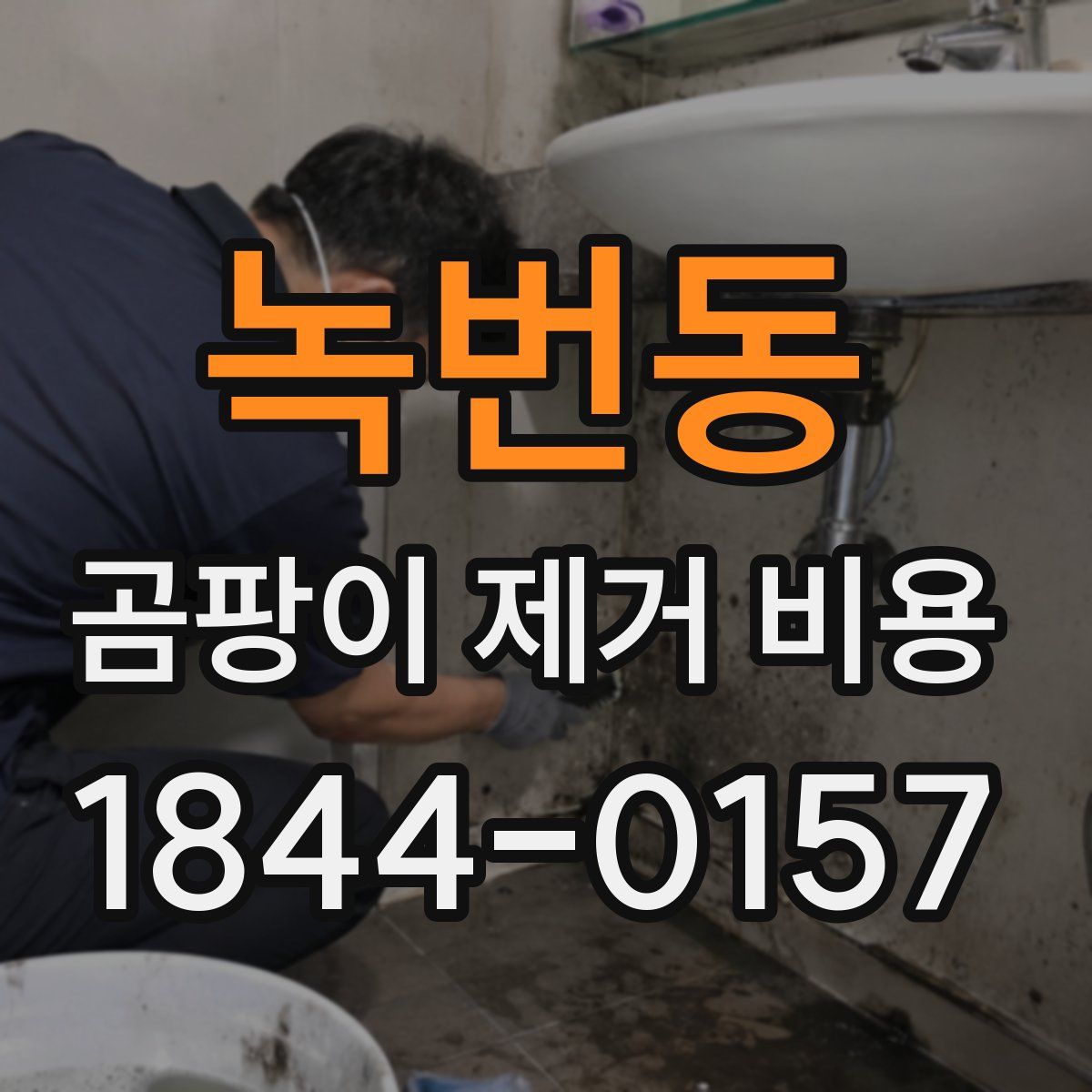 녹번동 곰팡이 제거 비용