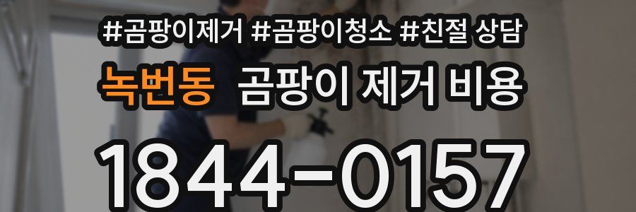 녹번동 곰팡이 제거 비용