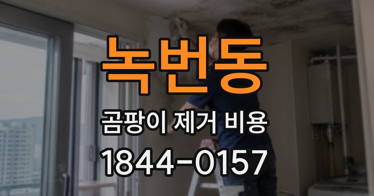 녹번동 곰팡이 제거 비용