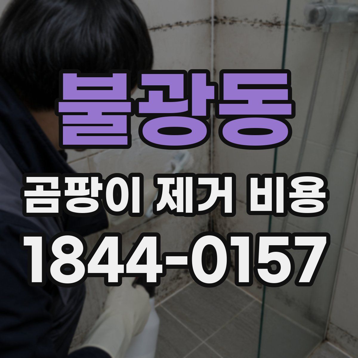 불광동 곰팡이 제거 비용
