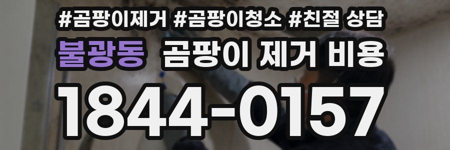 불광동 곰팡이 제거 비용