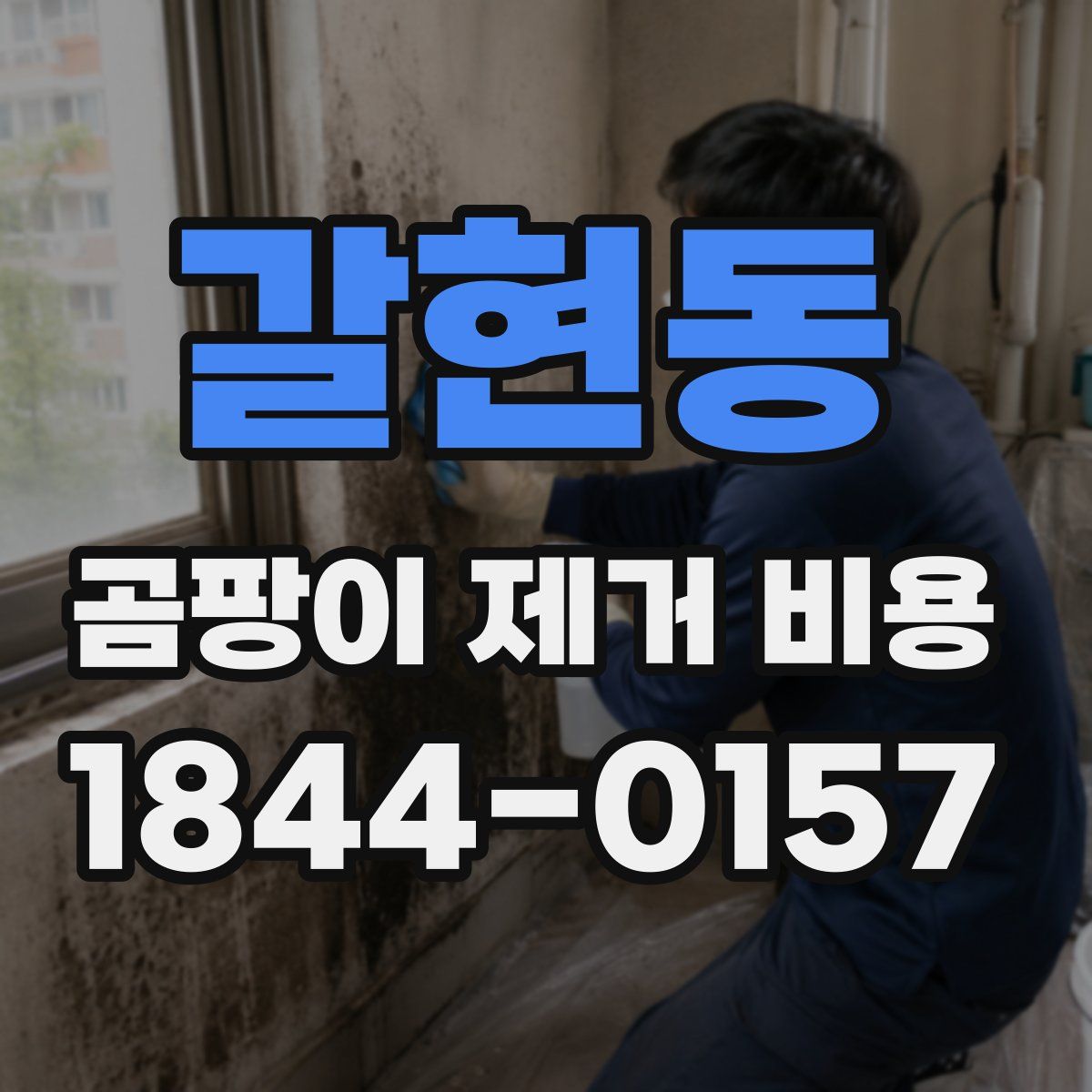 갈현동 곰팡이 제거 비용