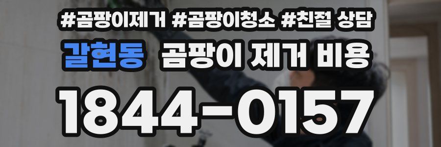 갈현동 곰팡이 제거 비용