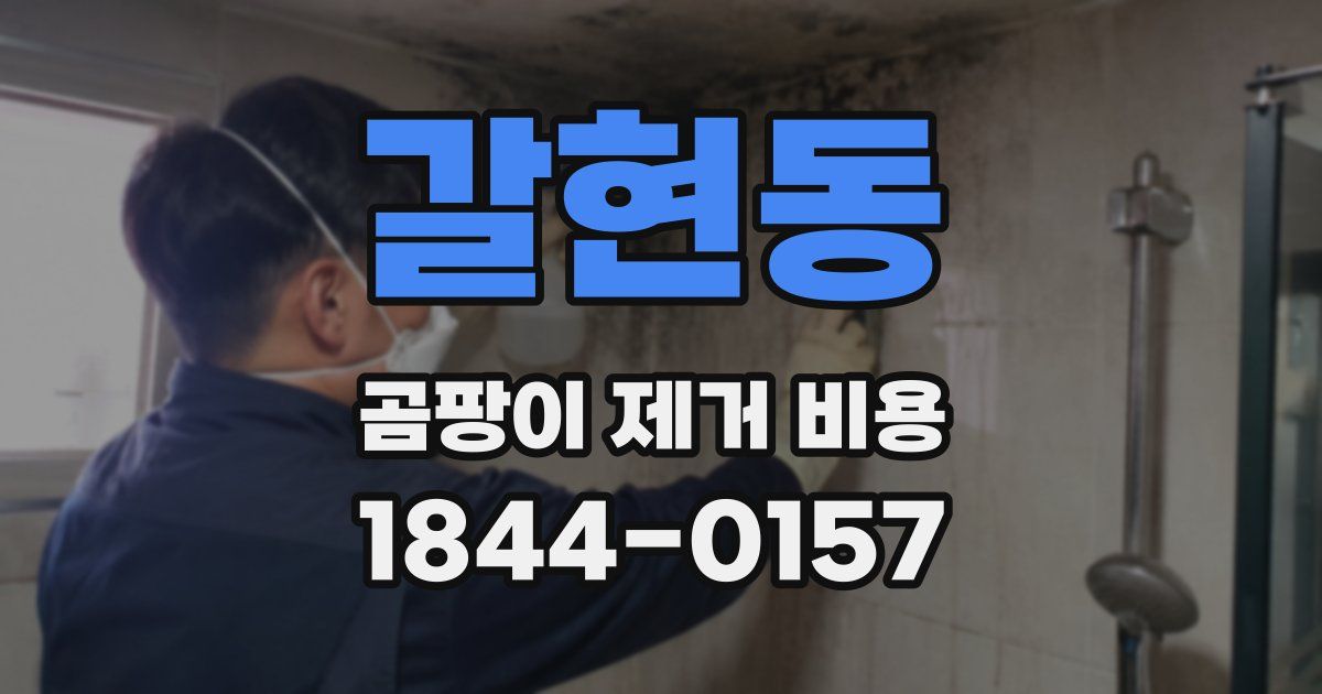 갈현동 곰팡이 제거 비용