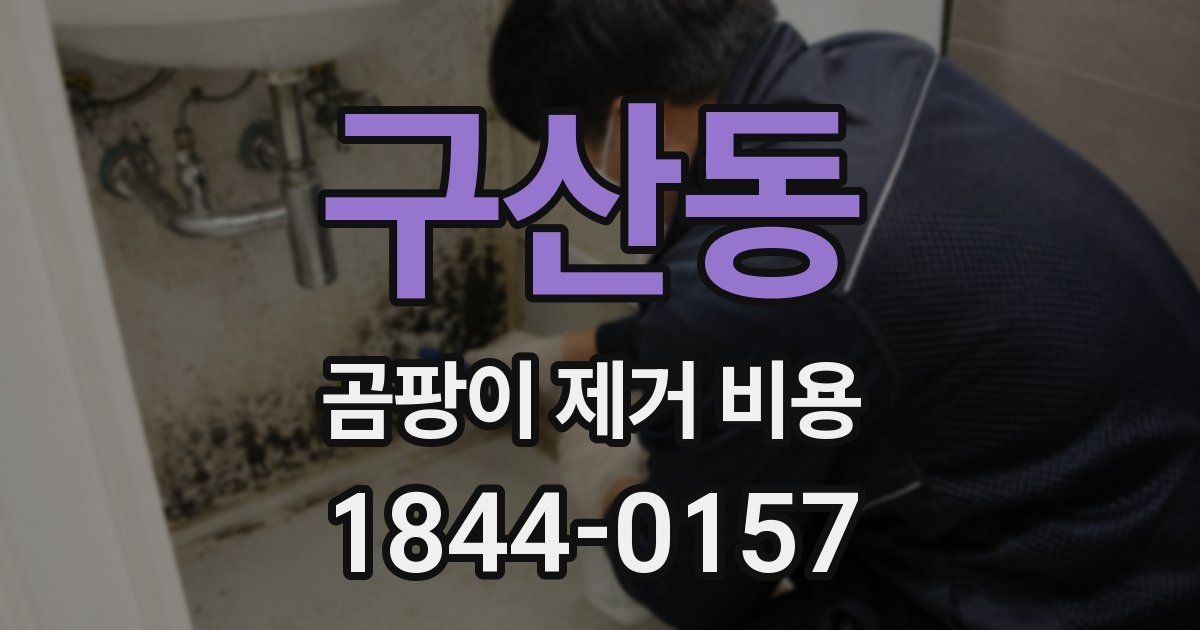 구산동 곰팡이 제거 비용