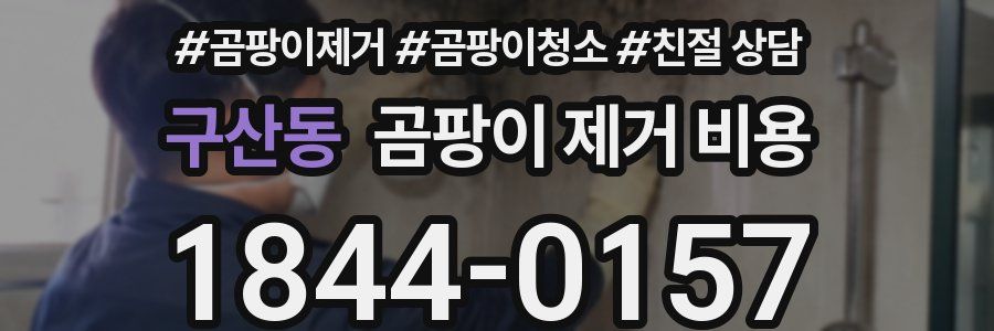 구산동 곰팡이 제거 비용
