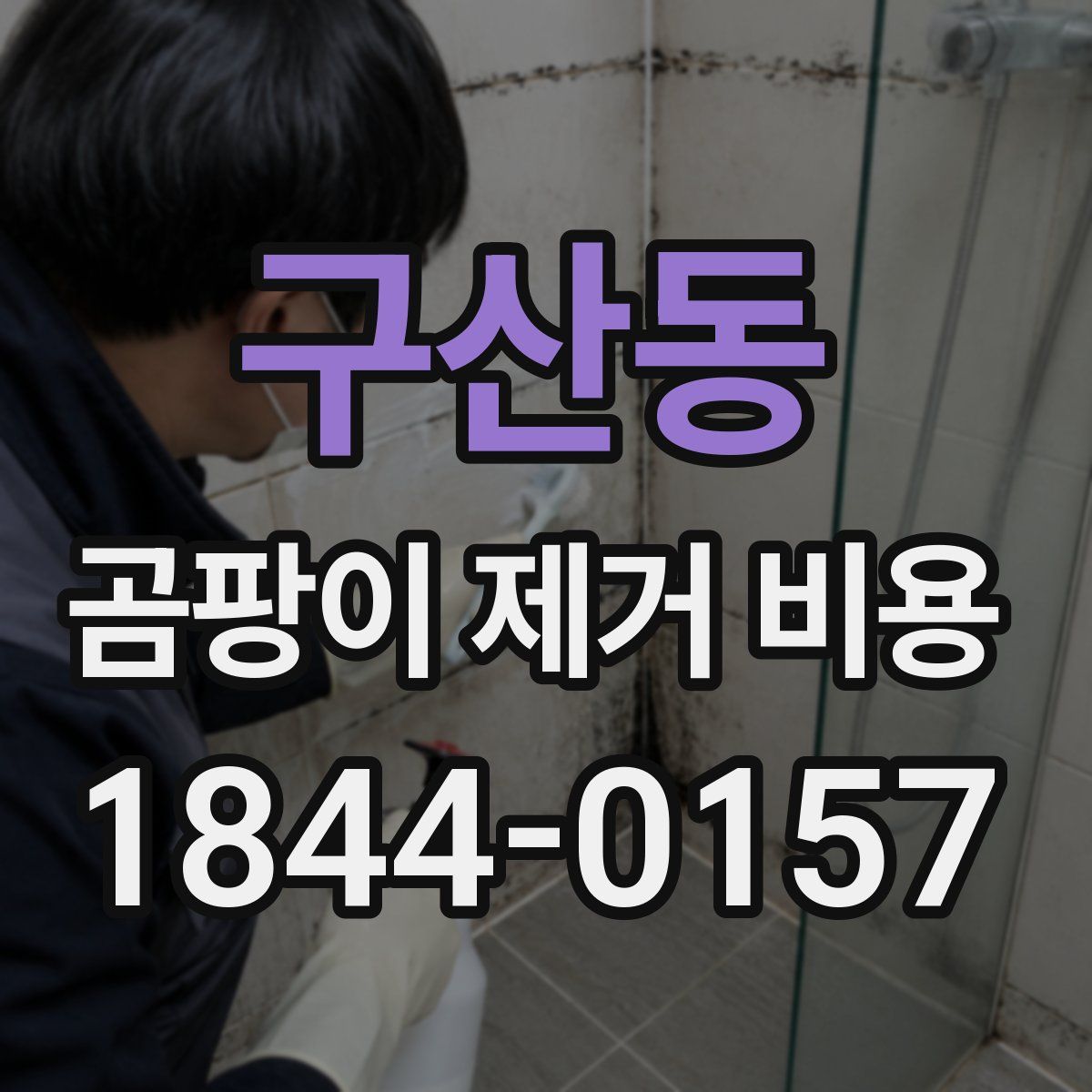 구산동 곰팡이 제거 비용