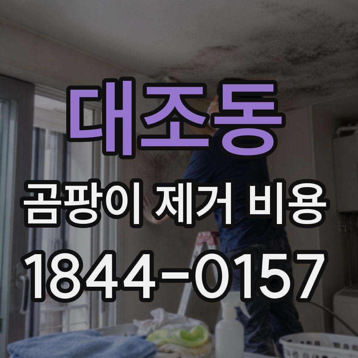 대조동 곰팡이 제거 비용