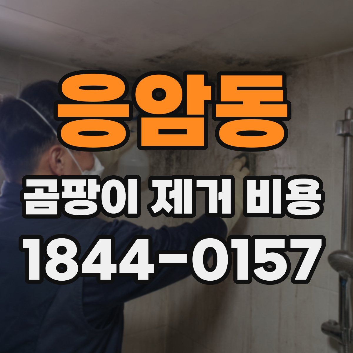 응암동 곰팡이 제거 비용
