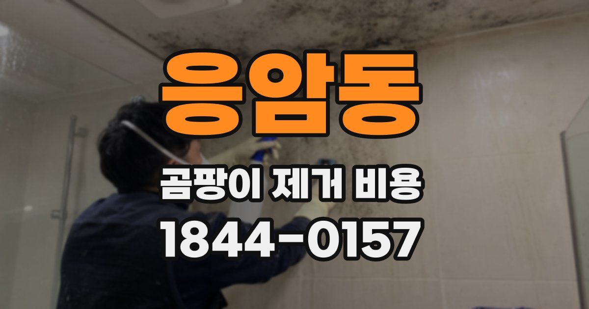 응암동 곰팡이 제거 비용