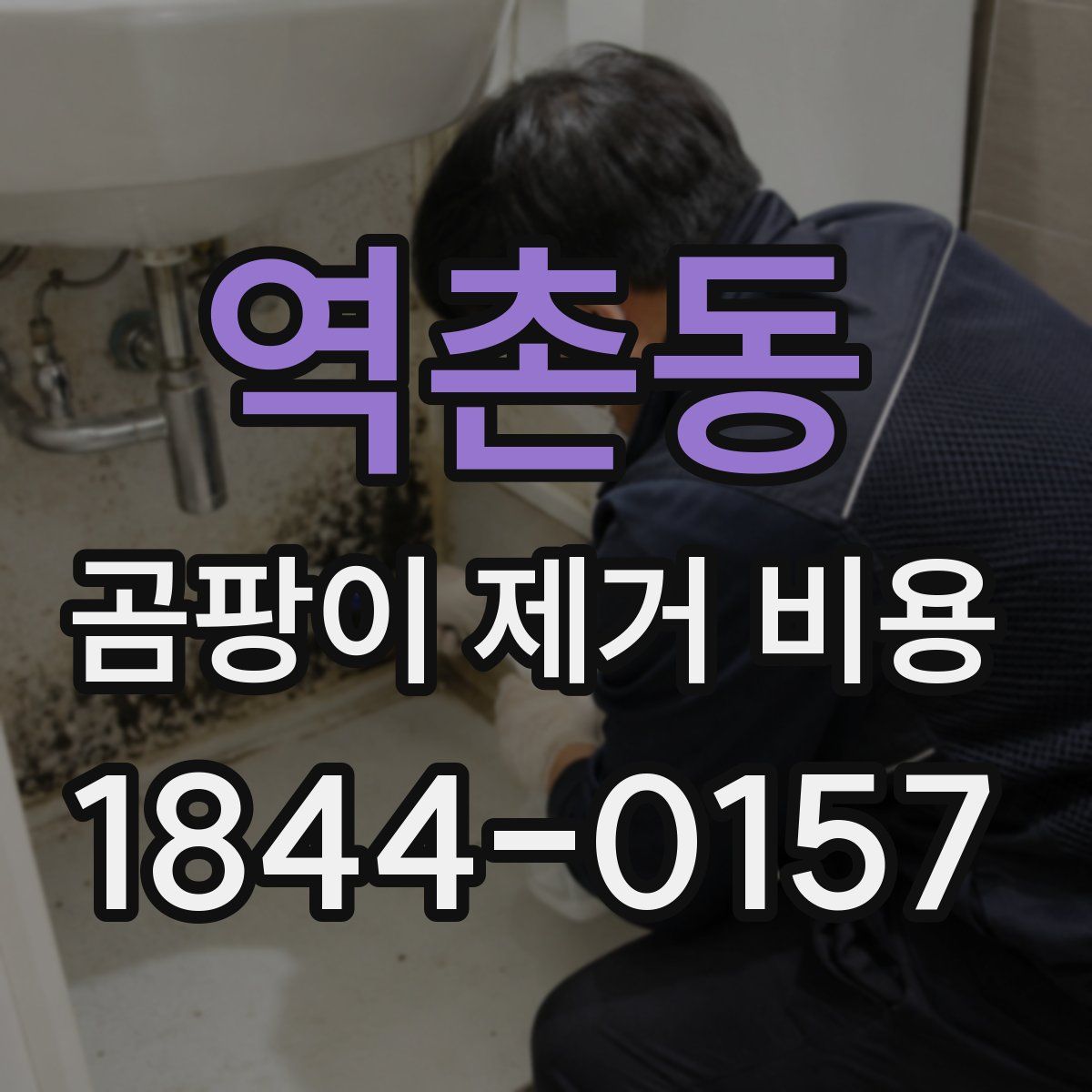 역촌동 곰팡이 제거 비용
