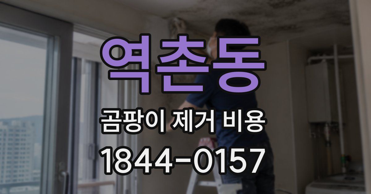 역촌동 곰팡이 제거 비용