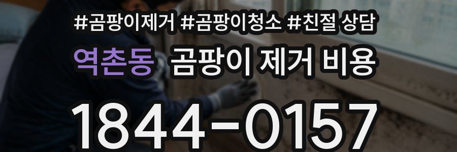 역촌동 곰팡이 제거 비용