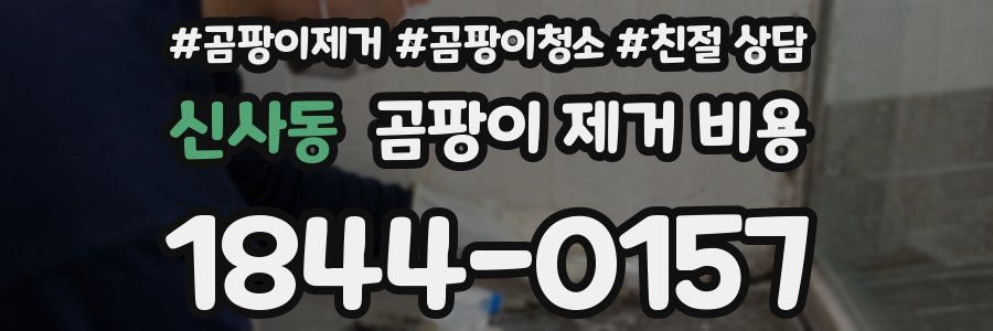 신사동 곰팡이 제거 비용
