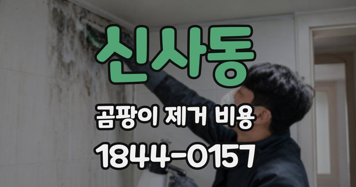 신사동 곰팡이 제거 비용