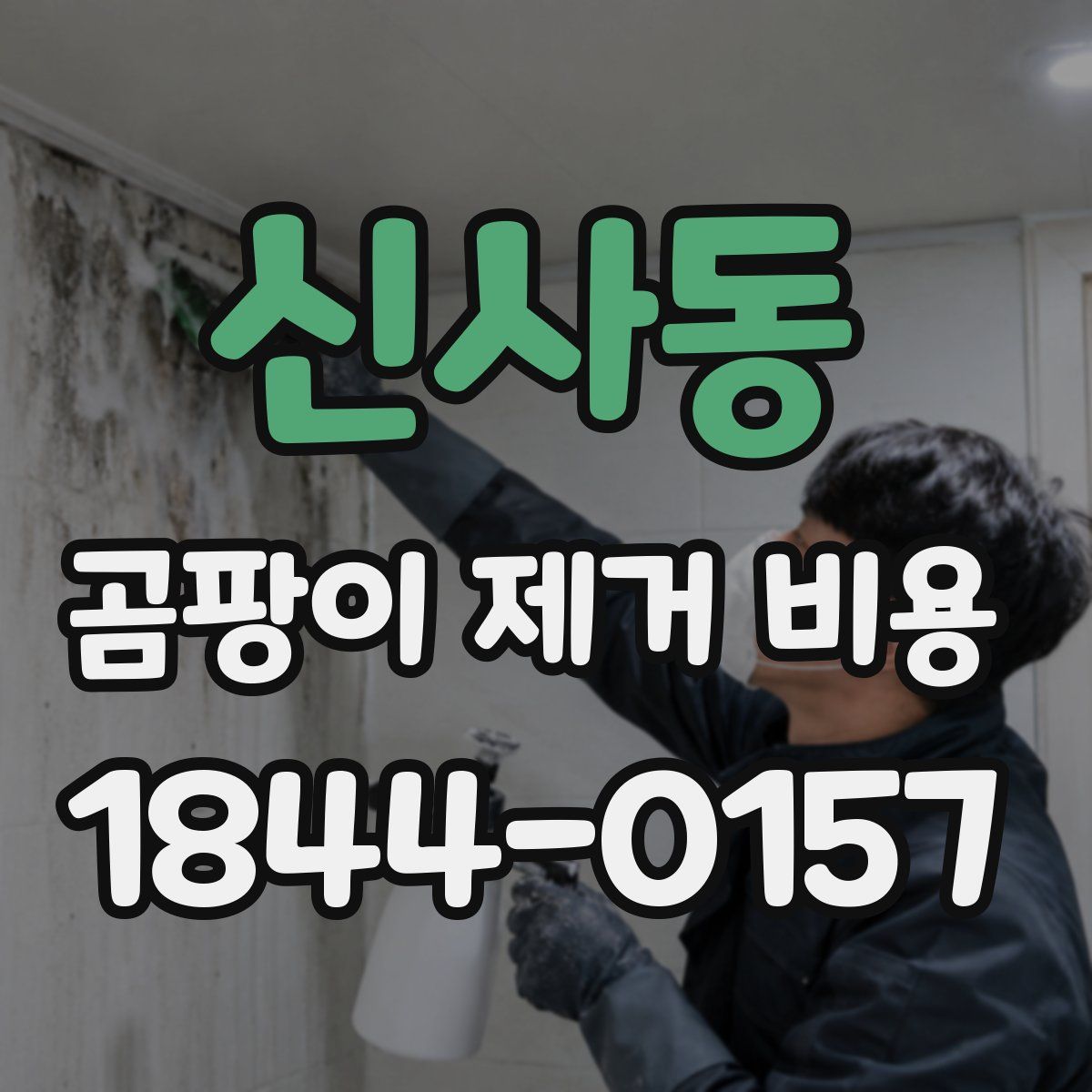 신사동 곰팡이 제거 비용