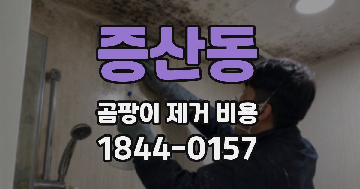 증산동 곰팡이 제거 비용
