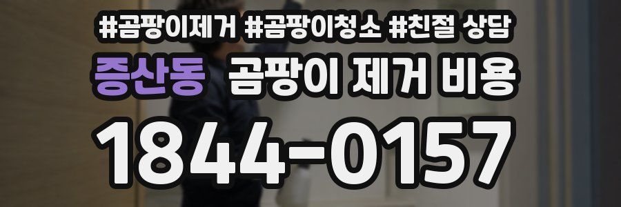 증산동 곰팡이 제거 비용