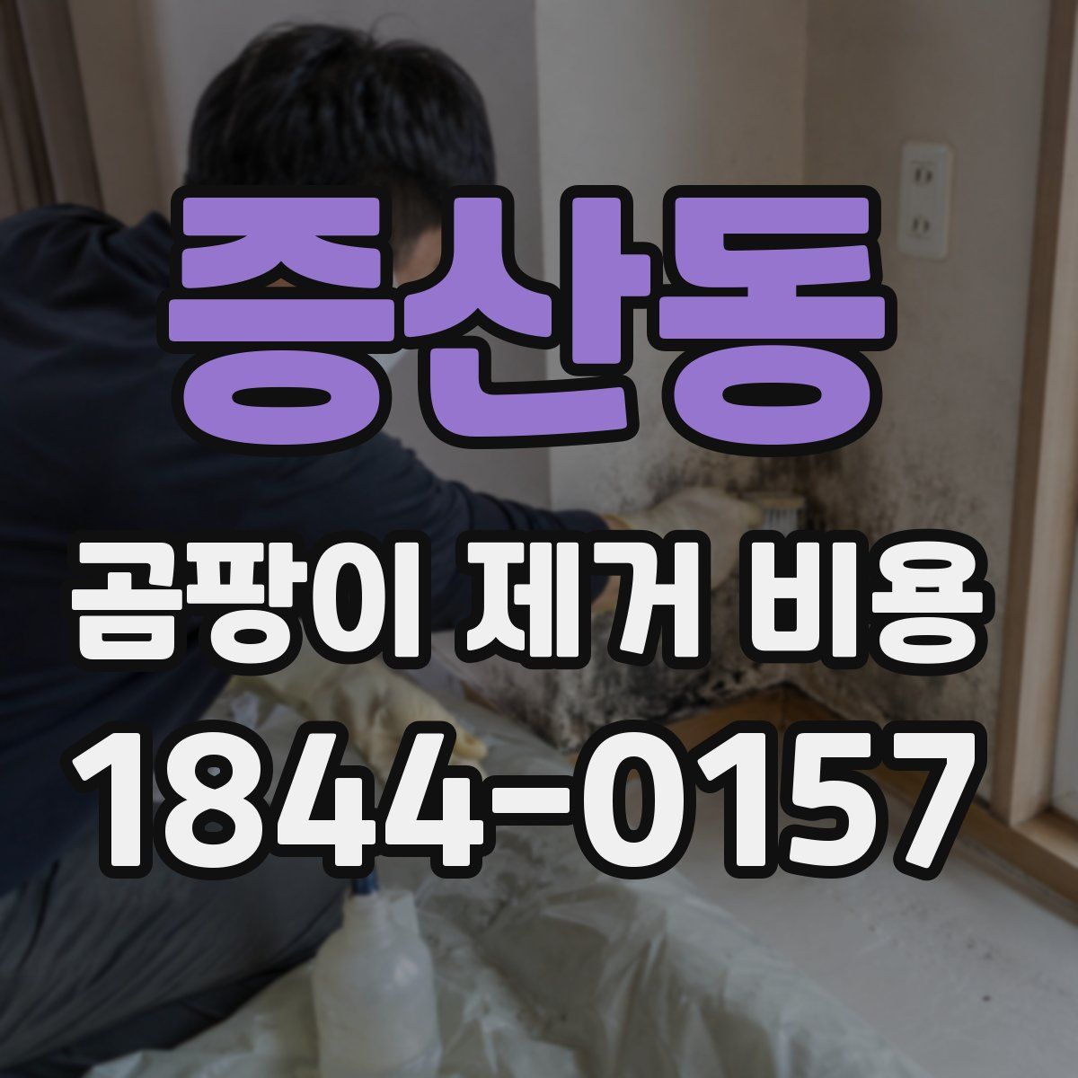 증산동 곰팡이 제거 비용