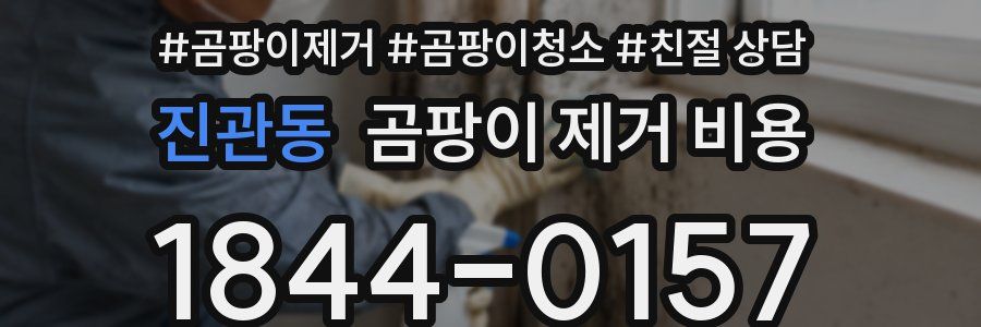 진관동 곰팡이 제거 비용