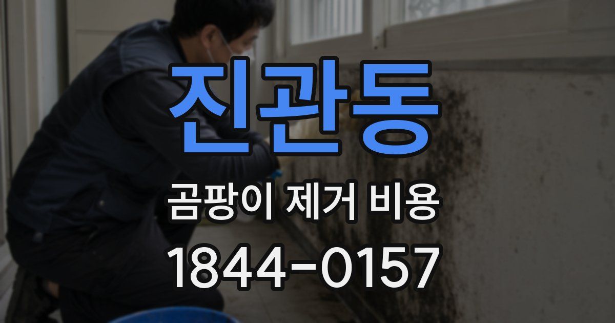 진관동 곰팡이 제거 비용