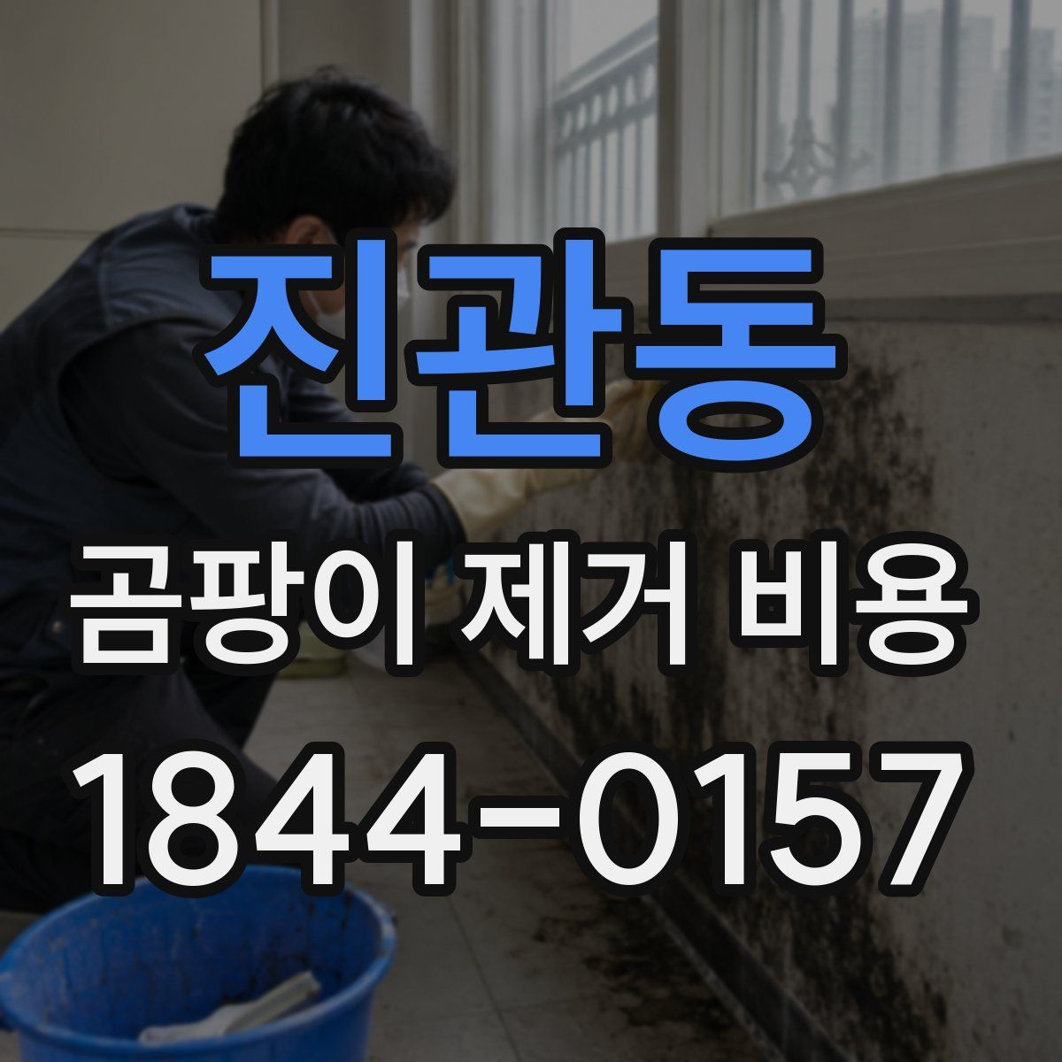 진관동 곰팡이 제거 비용