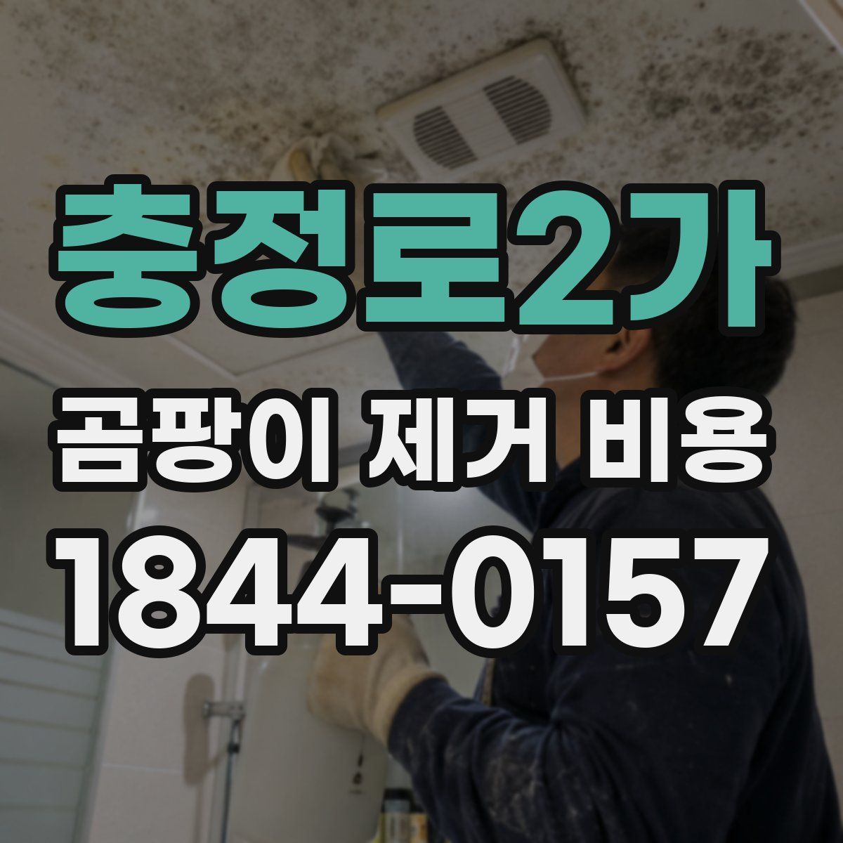 충정로2가 곰팡이 제거 비용