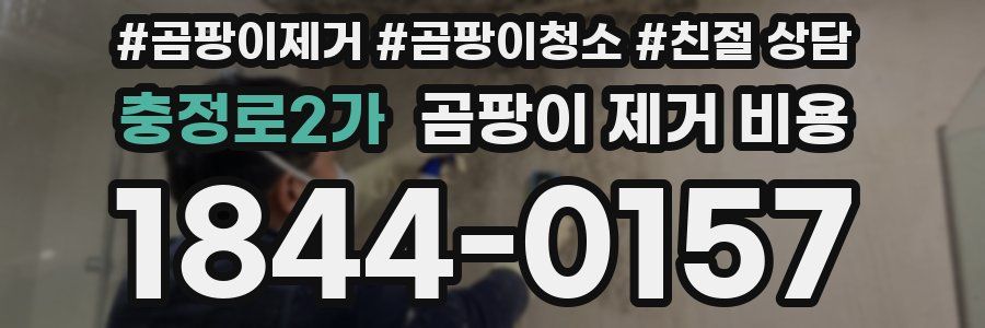 충정로2가 곰팡이 제거 비용
