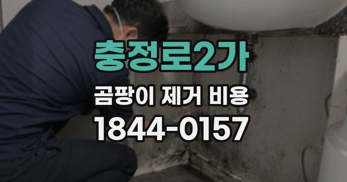 충정로2가 곰팡이 제거 비용