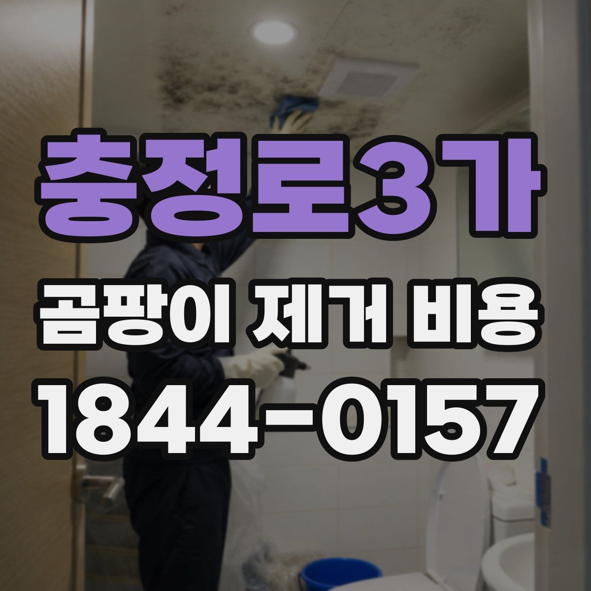 충정로3가 곰팡이 제거 비용