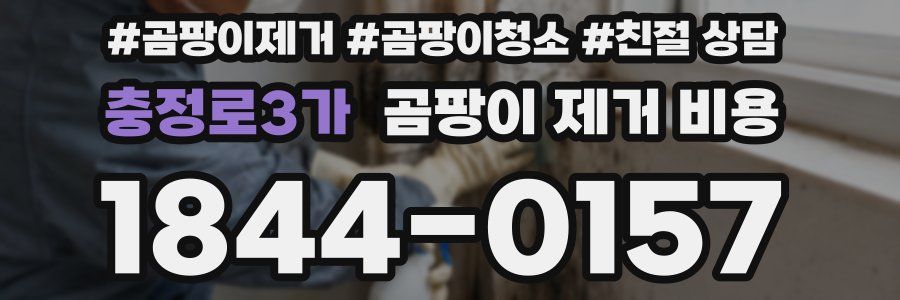 충정로3가 곰팡이 제거 비용