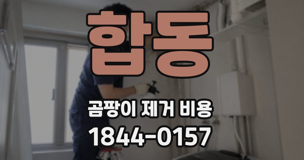 합동 곰팡이 제거 비용