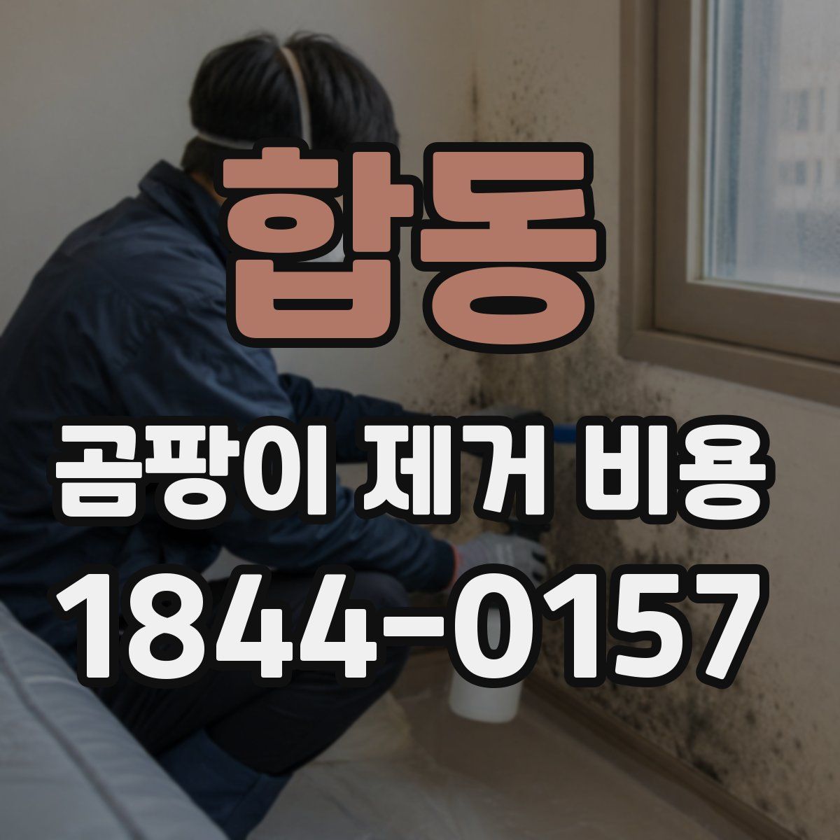합동 곰팡이 제거 비용