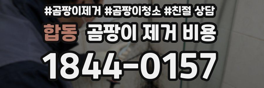 합동 곰팡이 제거 비용