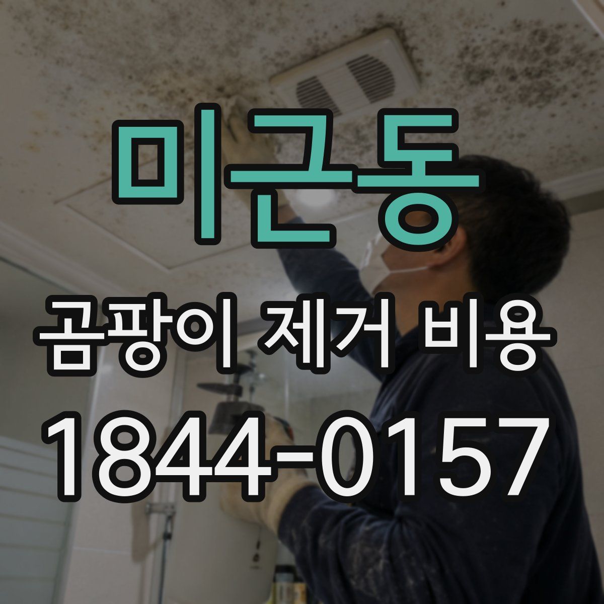 미근동 곰팡이 제거 비용