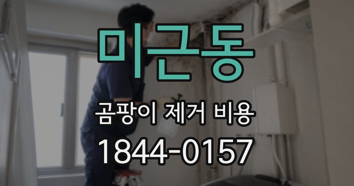 미근동 곰팡이 제거 비용
