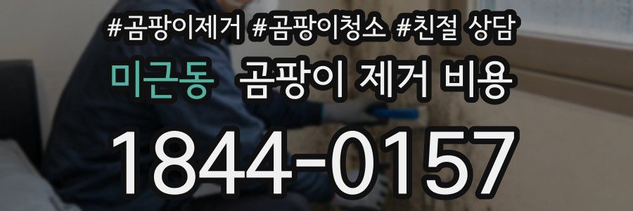 미근동 곰팡이 제거 비용