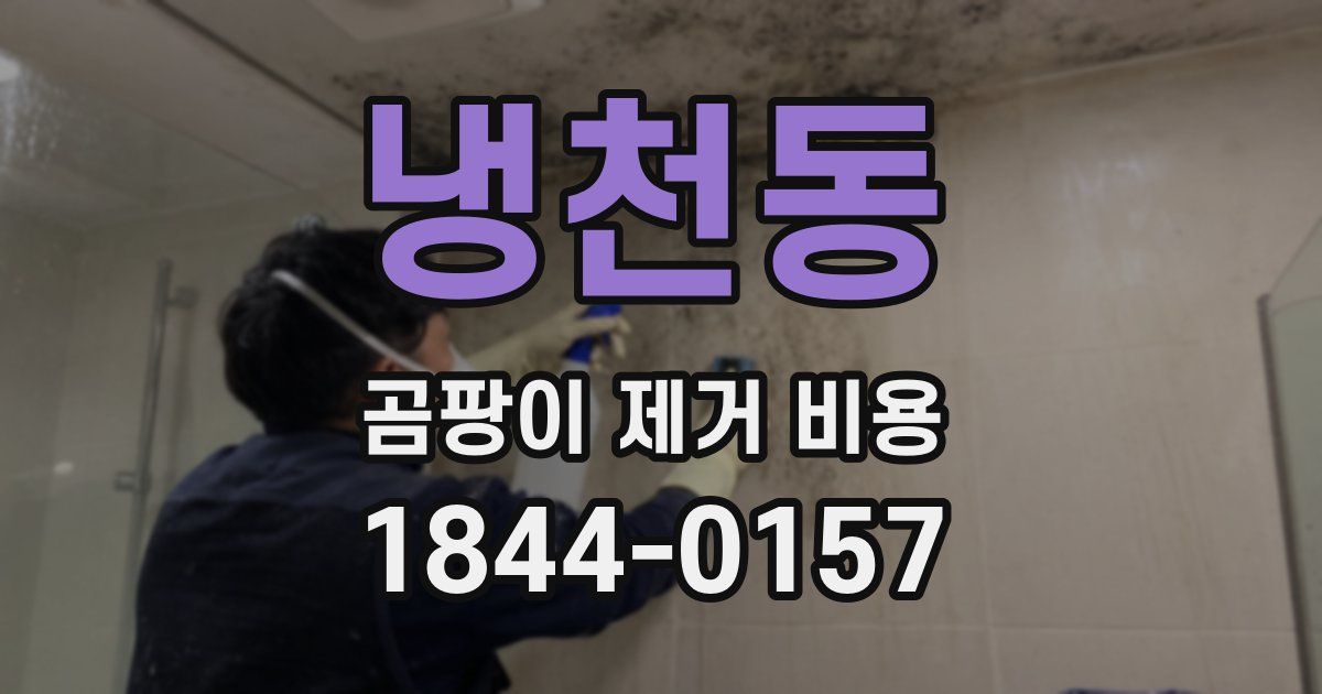 냉천동 곰팡이 제거 비용