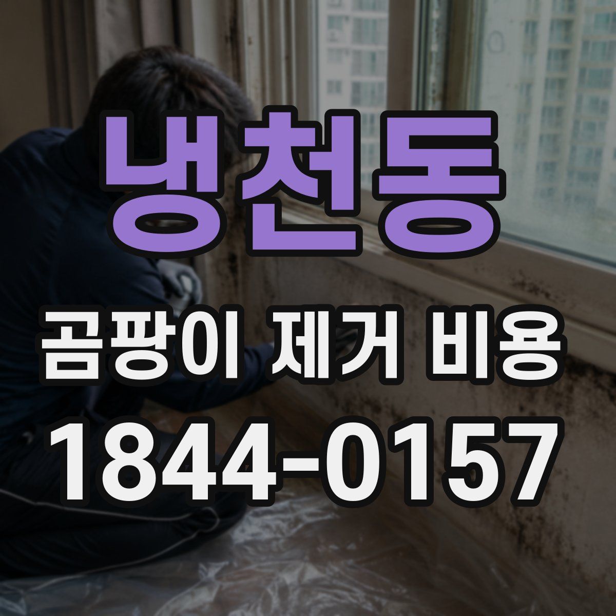 냉천동 곰팡이 제거 비용
