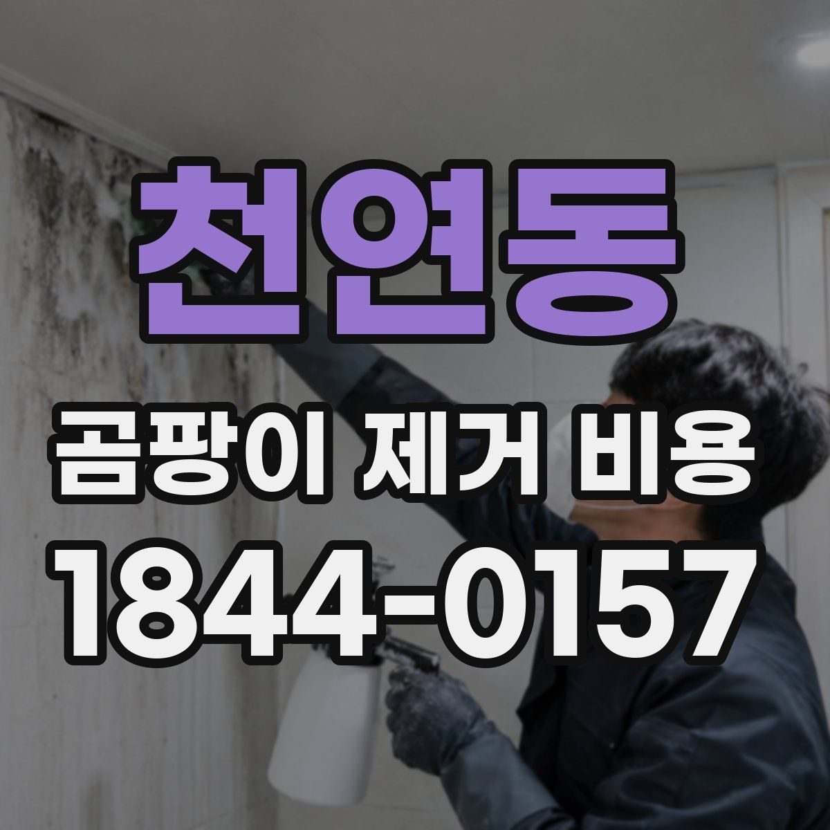 천연동 곰팡이 제거 비용