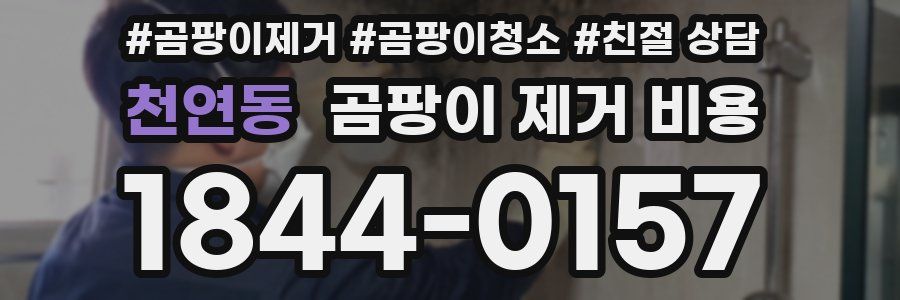 천연동 곰팡이 제거 비용