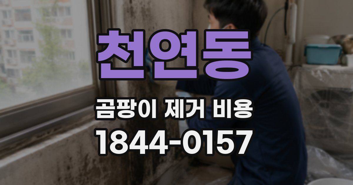 천연동 곰팡이 제거 비용